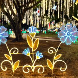 Alumbrado navideño en Cali 2024.