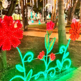 Alumbrado navideño en Cali 2024.