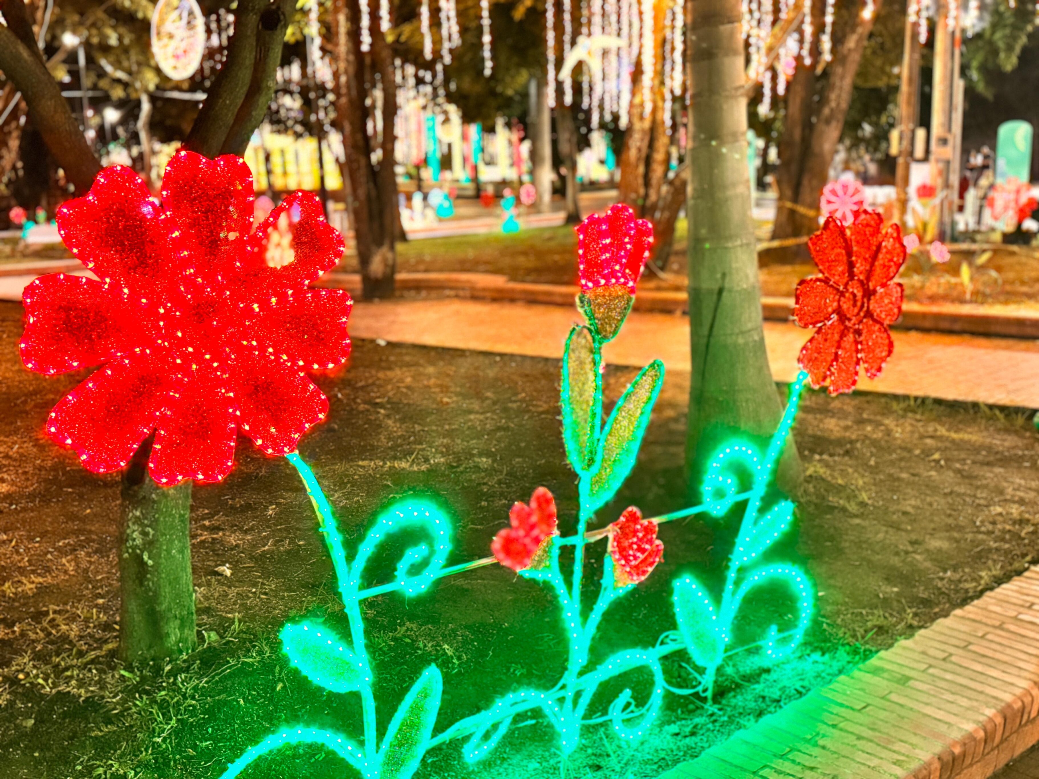 Alumbrado navideño en Cali 2024.
