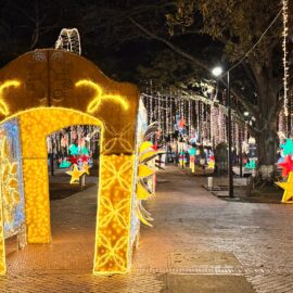 Alumbrado navideño en Cali 2024.