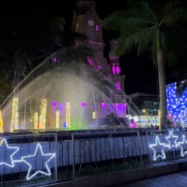 Palmira ilumina la Navidad con un homenaje a la naturaleza: Así luce su alumbrado 2024
