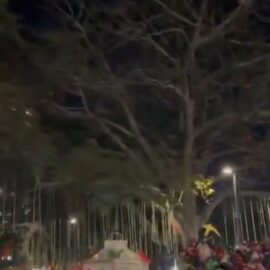 Se registró un apagón en el alumbrado navideño de Cali, ¿cuál fue la razón?