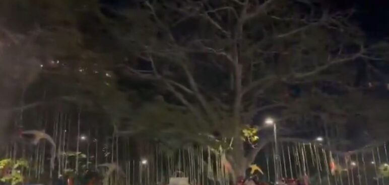 Se registró un apagón en el alumbrado navideño de Cali, ¿cuál fue la razón?