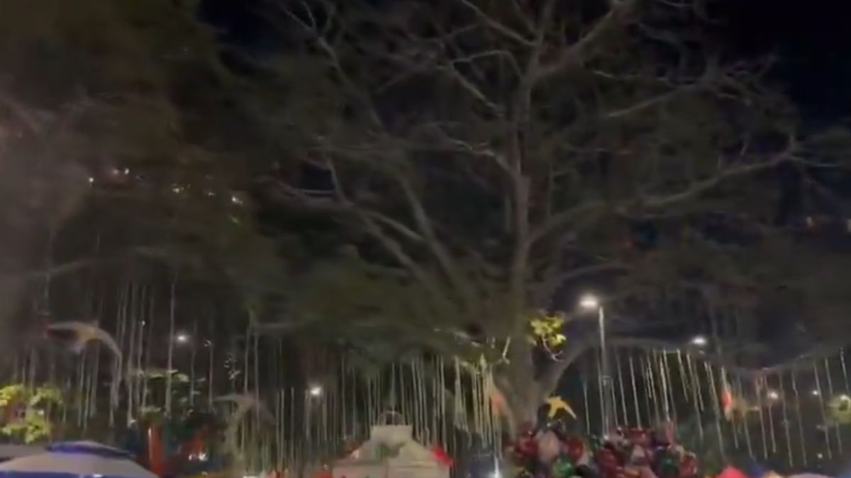 Se registró un apagón en el alumbrado navideño de Cali, ¿cuál fue la razón?