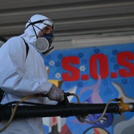 Dengue en el continente americano: 12,6 millones de casos y 7.713 muertes en 2024