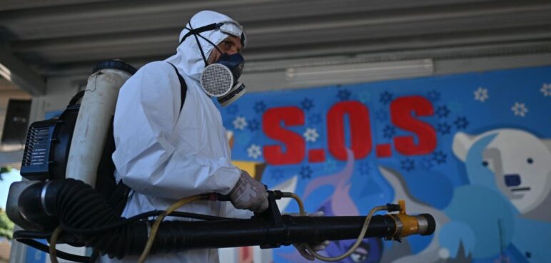 Dengue en el continente americano: 12,6 millones de casos y 7.713 muertes en 2024