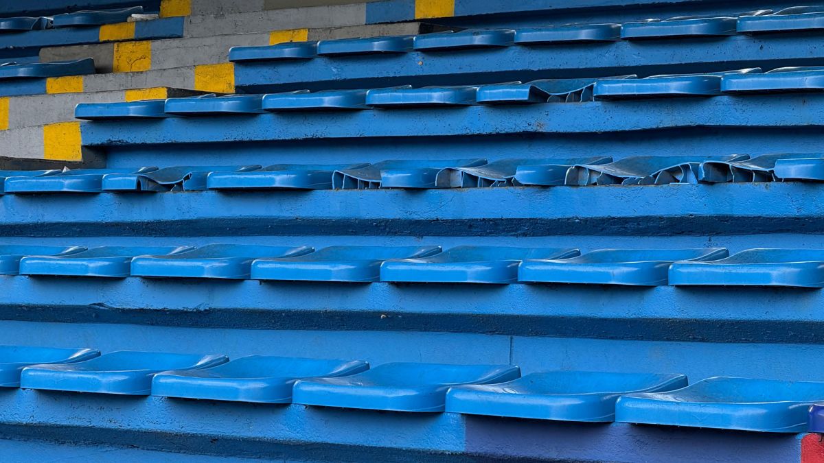Desmanes Estadio