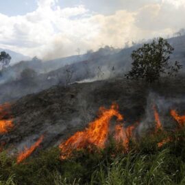 Colombia enfrentó más de 6.000 incendios forestales en 2024, devastando 216.000 hectáreas