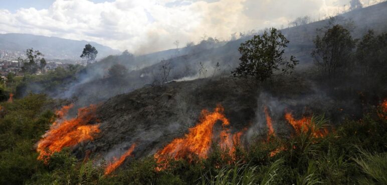 Colombia enfrentó más de 6.000 incendios forestales en 2024, devastando 216.000 hectáreas