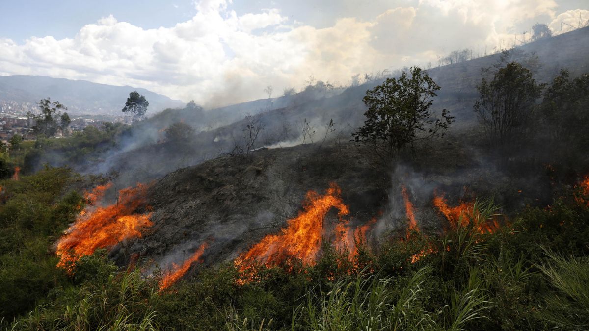 Colombia enfrentó más de 6.000 incendios forestales en 2024, devastando 216.000 hectáreas