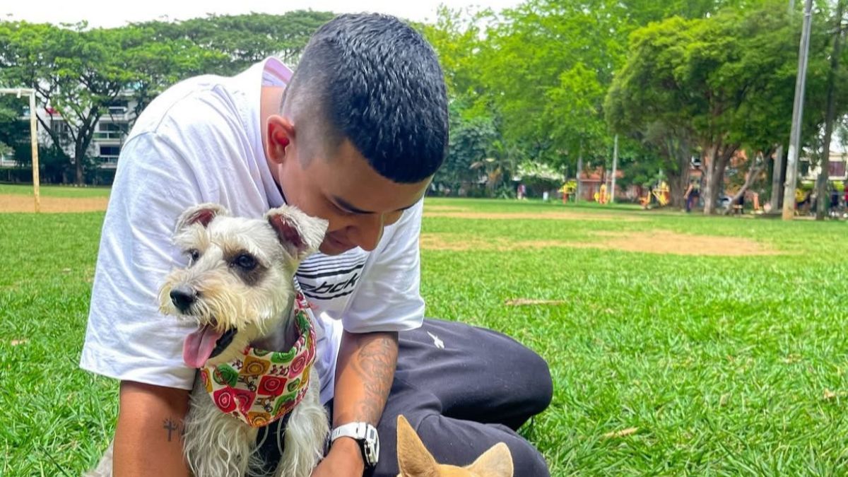 Alimento para mascotas que revoluciona a Cali: esta es la historia de Juan David Pipicano