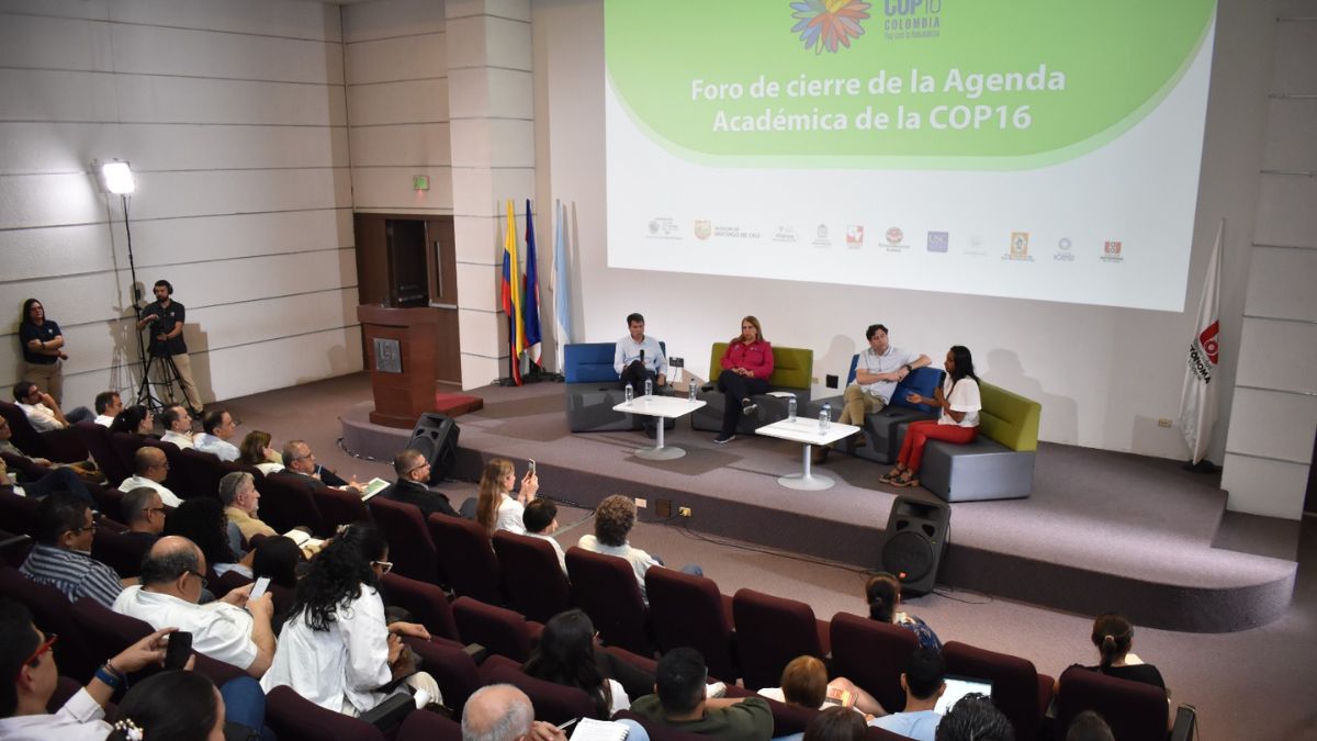 Universidades del Valle del Cauca apuestan por la sostenibilidad: la UAO lanza Becas COP16