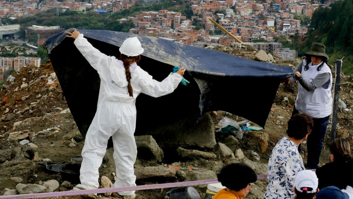 Conozca el listado de los vehículos que les bajará el precio del Soat en 2025