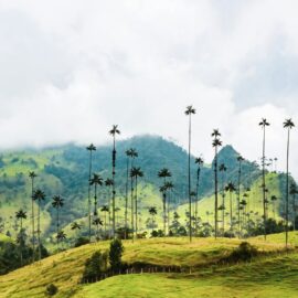 ¿Qué época es ideal para viajar en Colombia? Aquí te lo contamos