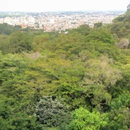 Comunidades del oeste de Cali denuncian intento de invasión en bosque de Bellavista