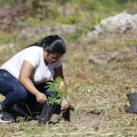 ¿Cómo acceder a Renta Joven en Colombia? Te explicamos todos los detalles