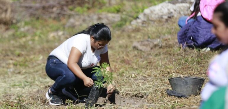 ¿Cómo acceder a Renta Joven en Colombia? Te explicamos todos los detalles