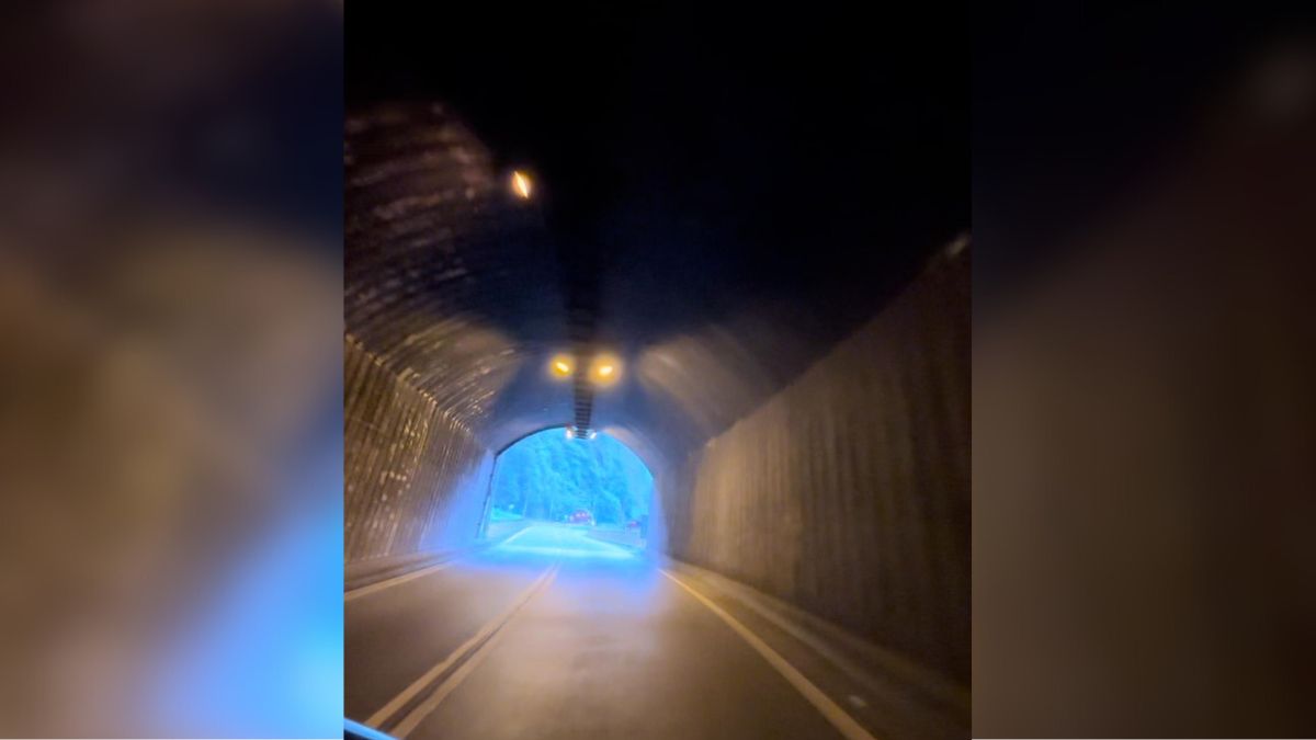 ¿Dónde queda el ‘Túnel Las Mariposas’? Conoce esta joya de la ingeniería colombiana