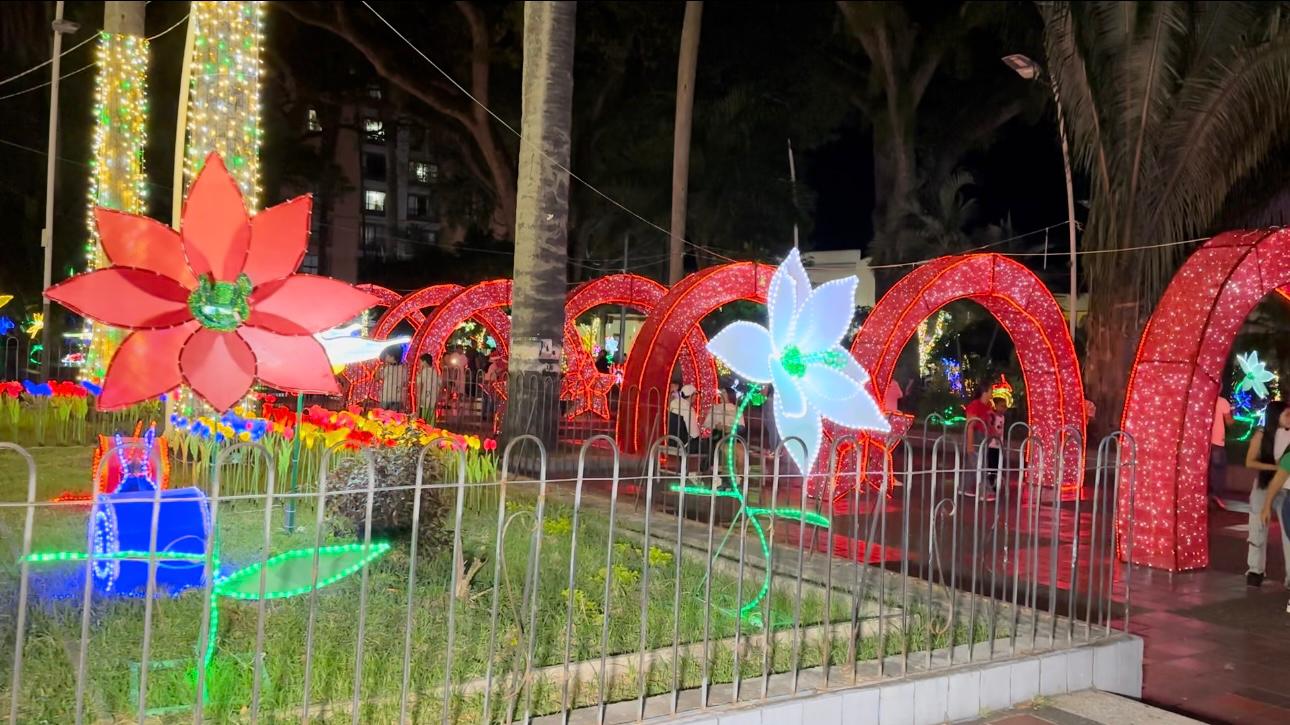 Alumbrado navideño de Palmira
