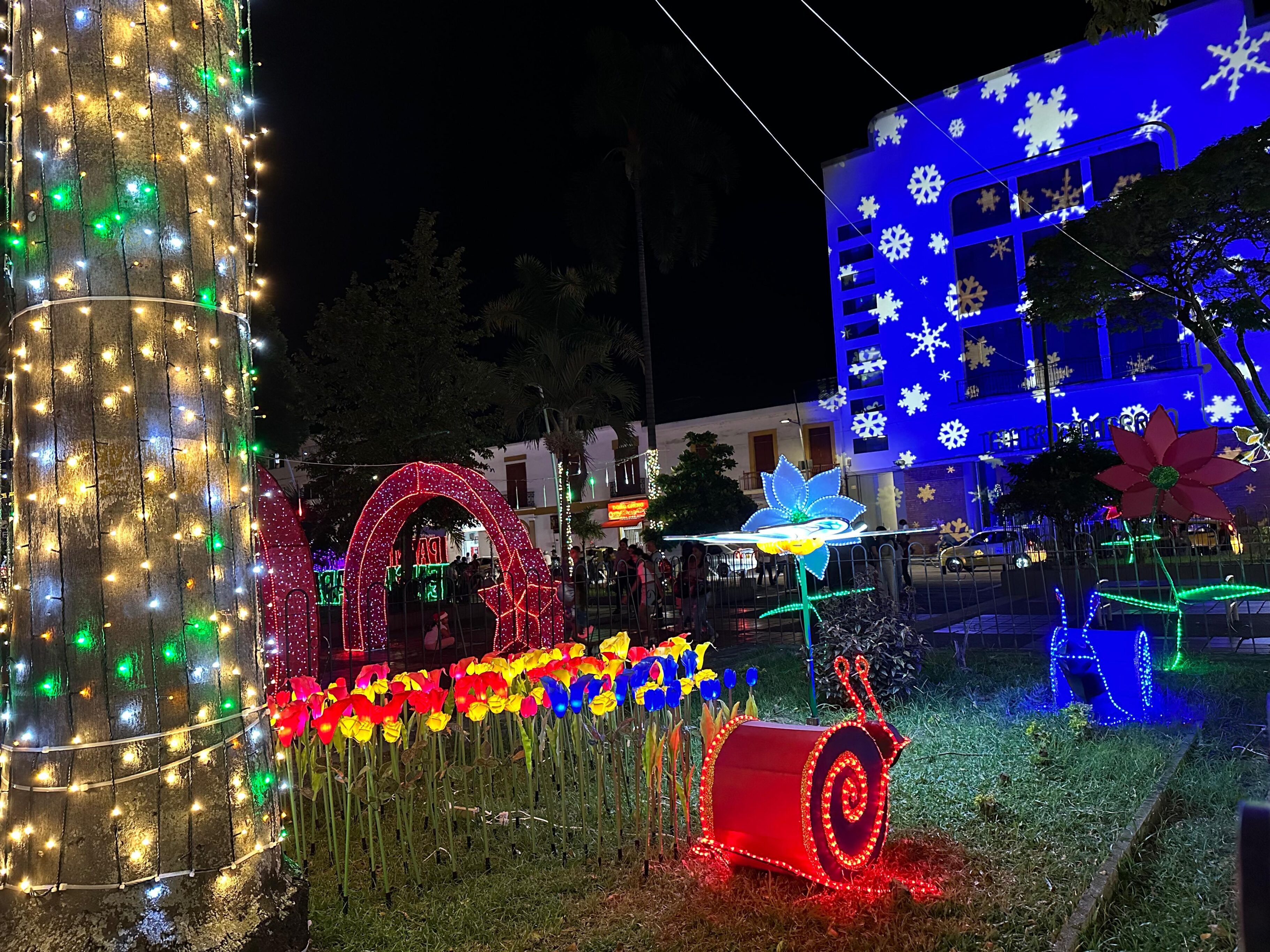 Alumbrado navideño de Palmira