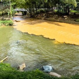 Contaminación por mercurio y minería ilegal en Los Farallones; ríos del Valle están afectados