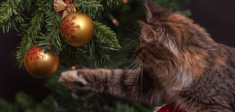 ¿Cómo proteger tu árbol de Navidad de tus mascotas?