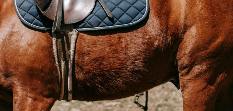 ¿Habrá cabalgata este año en la Feria Cali 2024?: esto dijo la Alcaldía