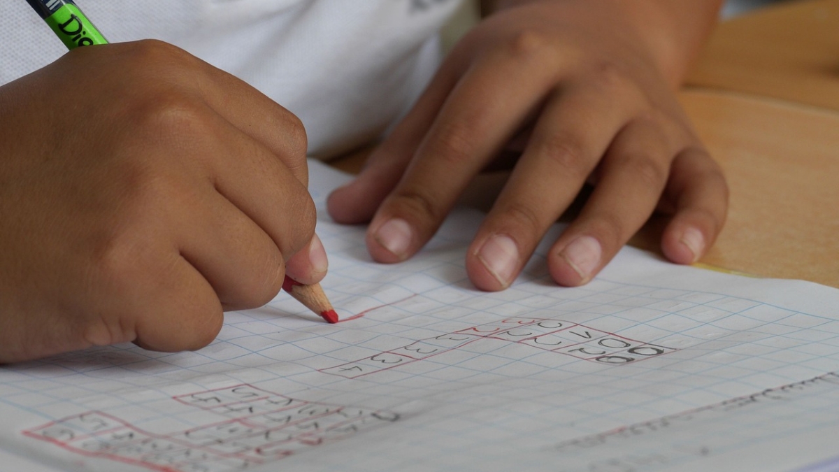 Matricule a sus hijos: conozca los colegios que tienen licencia en el Valle