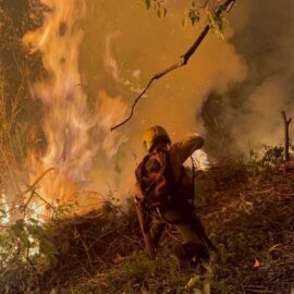 Alerta por incendio en Pichindé: así avanza la emergencia en zona rural de Cali