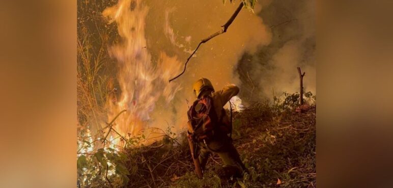 Alerta por incendio en Pichindé: así avanza la emergencia en zona rural de Cali