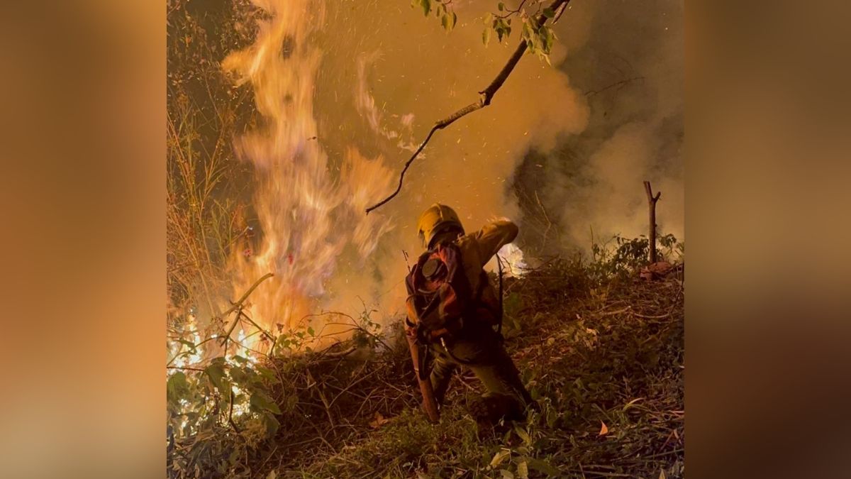 Incendio en Pichindé: autoridades aún no logran controlar el fuego