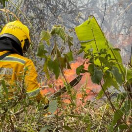 ¿Incendio forestal en Pichindé fue provocado? autoridades responden