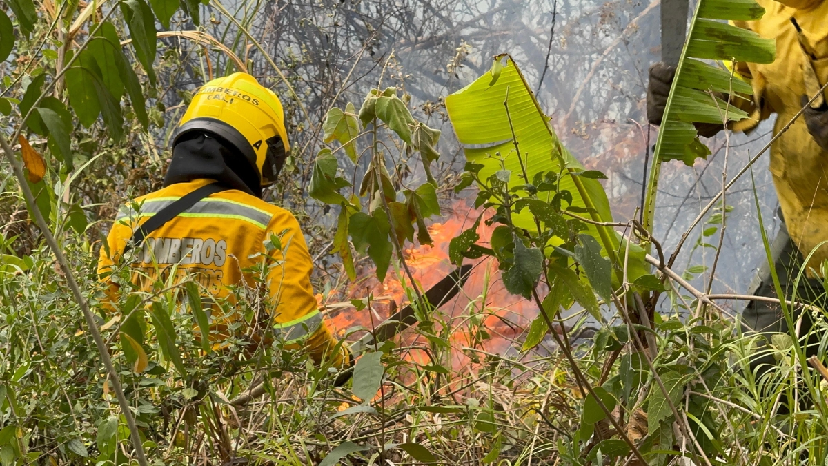 Alerta por incendio en Pichindé: así avanza la emergencia en zona rural de Cali