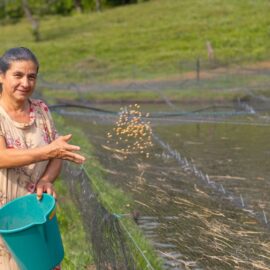Estudio revela que las mujeres rurales tienen mayor índice de exclusión financiera