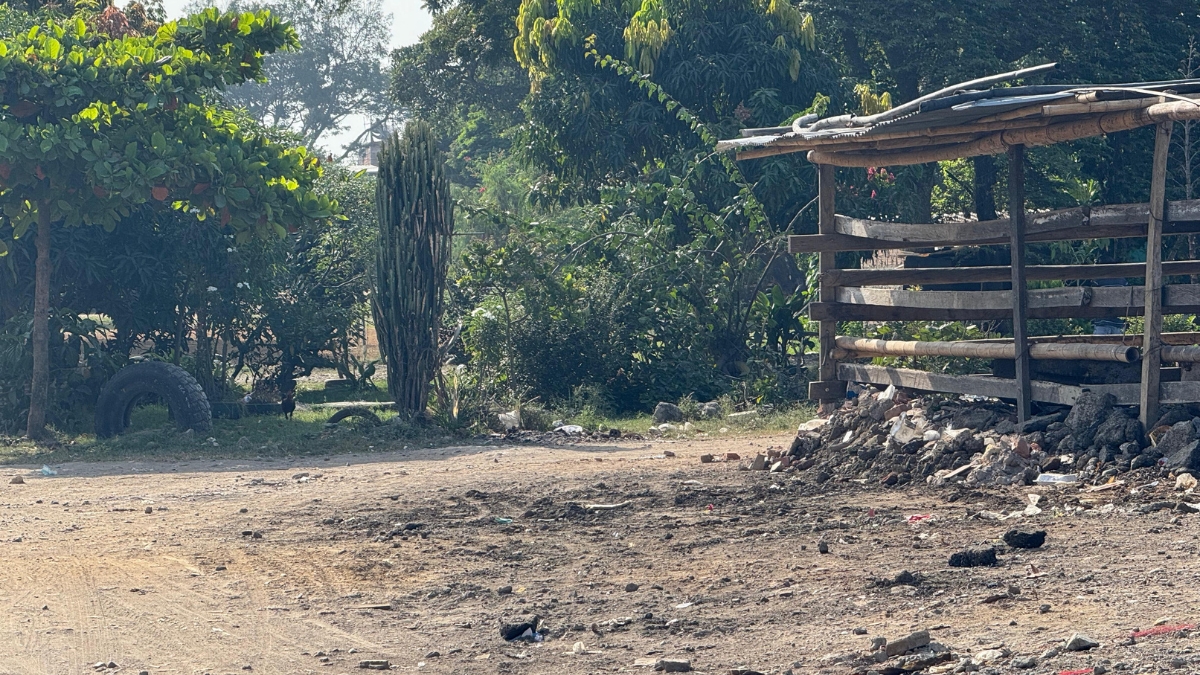 Operación 'Cordillera': Ejército dio de baja a seis presuntos disidentes de las Farc