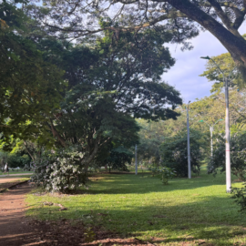 Denuncian grabación de contenidos para adultos en el Parque del Ingenio