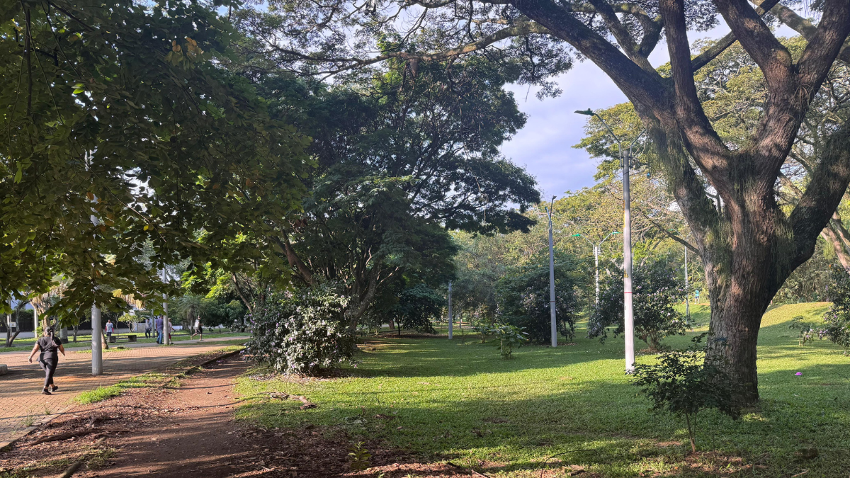 Denuncian grabación de contenidos para adultos en el Parque del Ingenio
