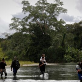 Darién: drástica caída del flujo migratorio en 2025