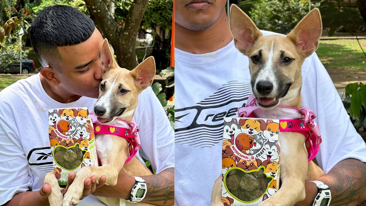 La historia de los snacks para mascotas con más ternura; también son saludables
