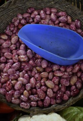 Valle del Cauca, potencia agrícola y autosostenible de Colombia