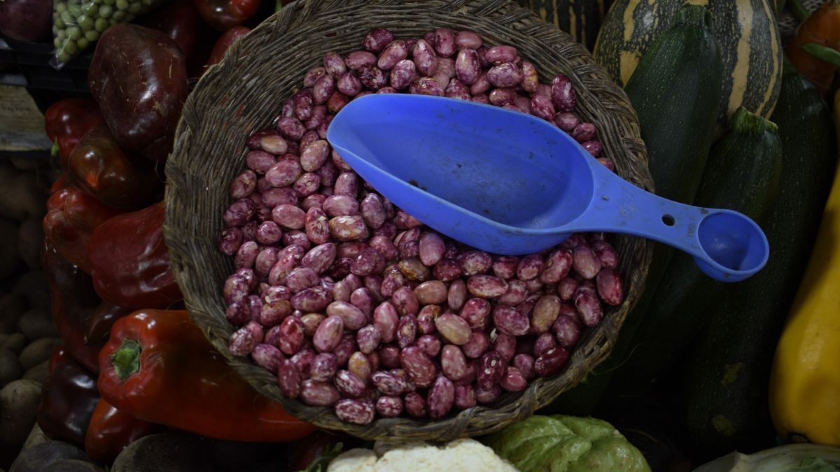 Valle del Cauca, potencia agrícola y autosostenible de Colombia