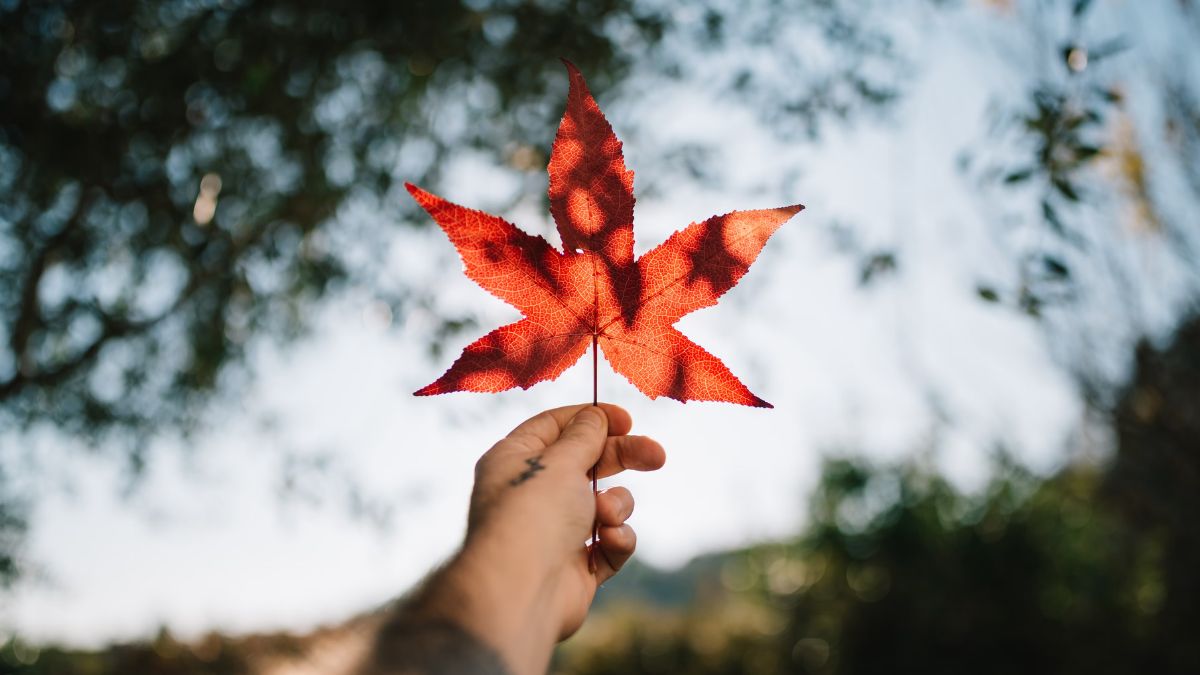 canada-2