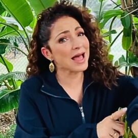 Recordando la increíble trayectoria de Gloria Estefan: una leyenda de la música