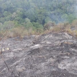 Bomberos de Cali lograron controlar incendio forestal en Pichindé, tras 49 horas de trabajo