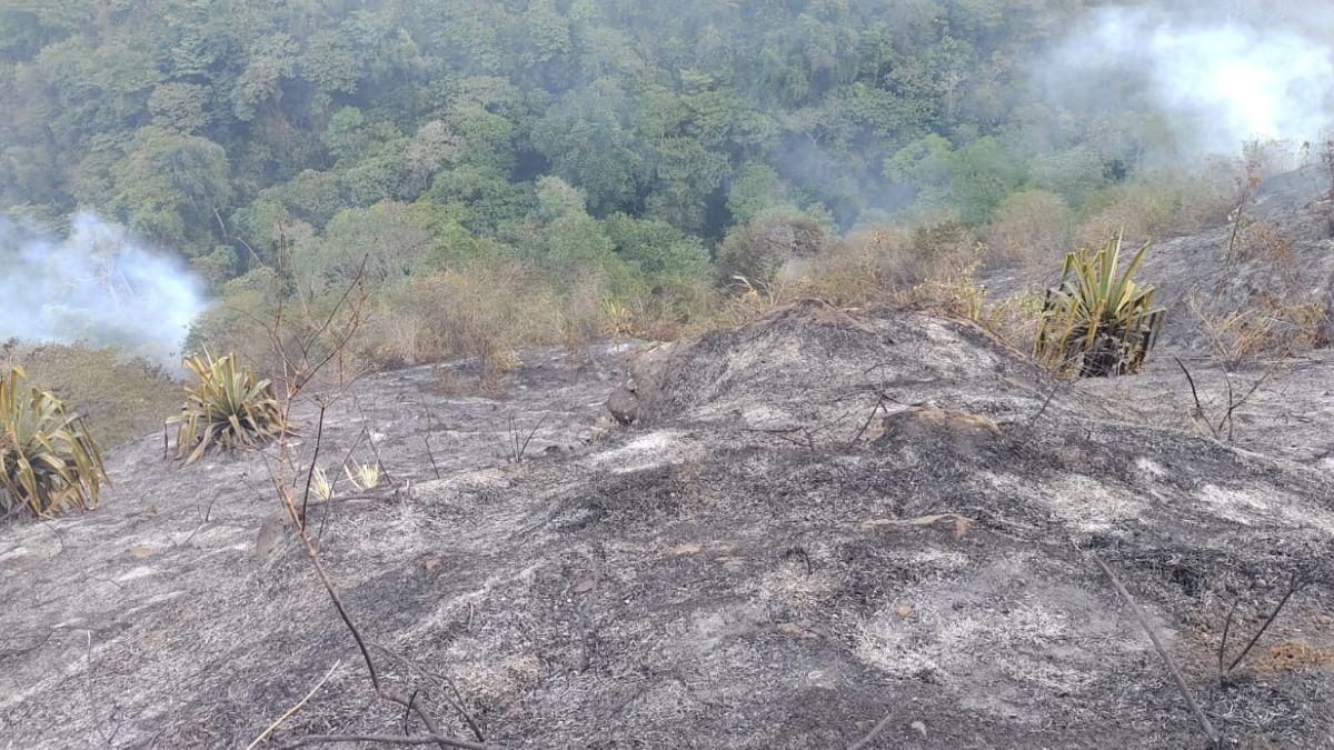 Bomberos de Cali lograron controlar incendio forestal en Pichindé, tras 49 horas de trabajo