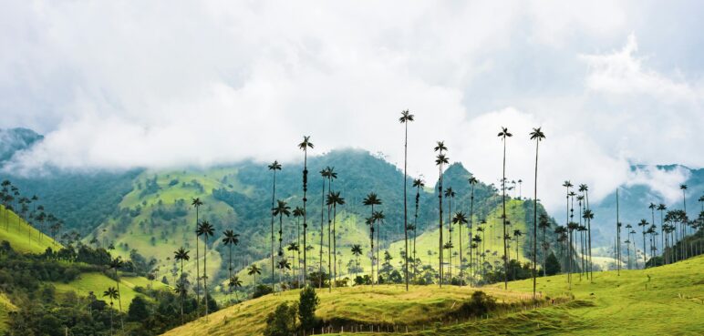 Top 3 de las mejores ciudades de Colombia para viajar en 2025, según la Inteligencia Artificial