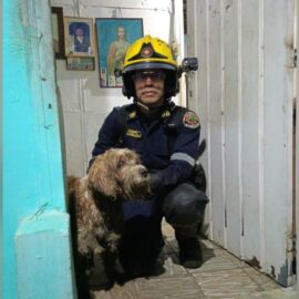 Imágenes: Así fue el rescate de un perrito que cayó a una cañada en Cali