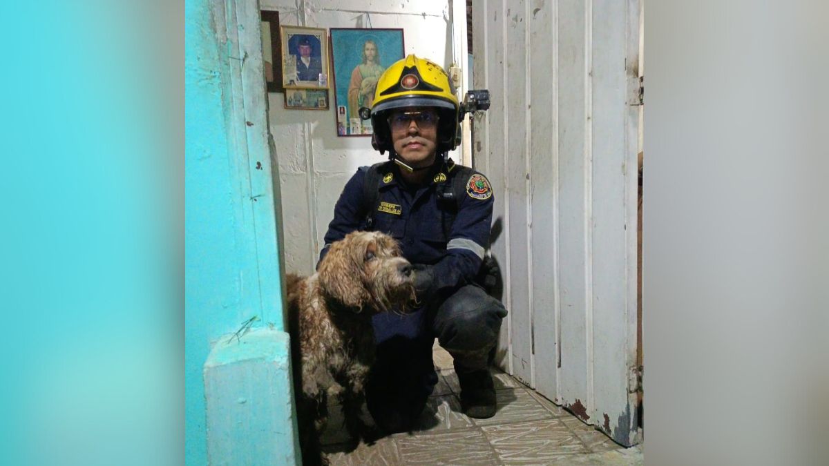Alerta por inseguridad en barrio de Candelaria; se registraron 15 robos en los últimos días