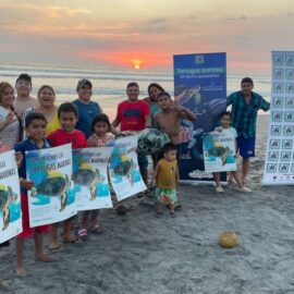 Tortugas Guatemala