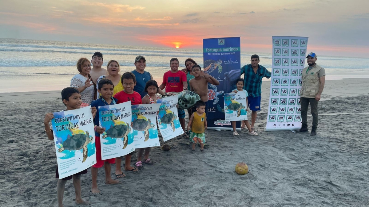 Tortugas Guatemala